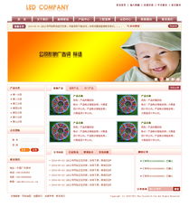 打造卓越公司网站 国内广告业务的全新驱动力