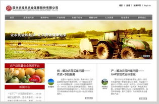 网页设计的高清美学 上海乐思设计如何赋能国内广告业务